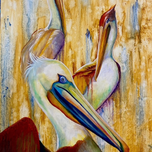 Pelican Trio