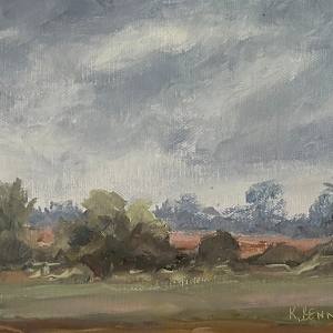 Early Evening Light
