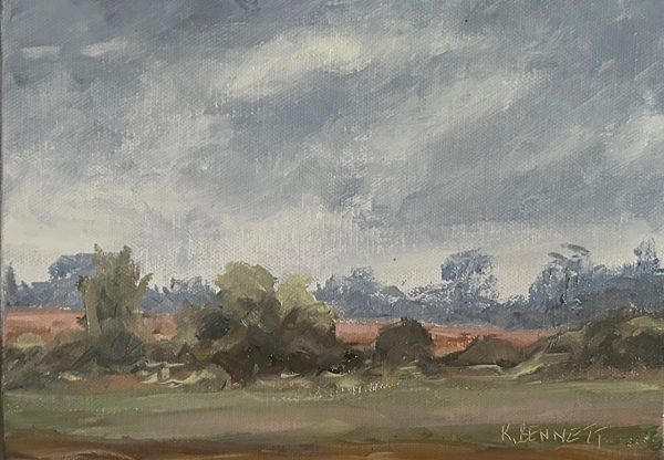 Early Evening Light