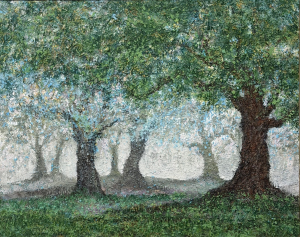 Oaks in the Morning