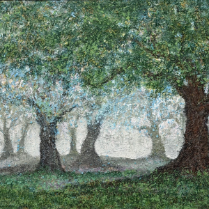 Oaks in the Morning