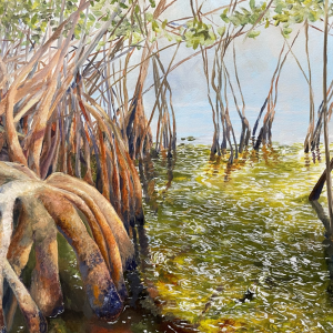 Mangrove Beach