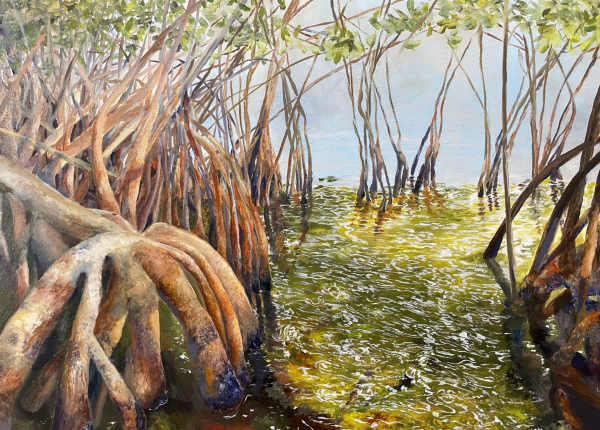 Mangrove Beach