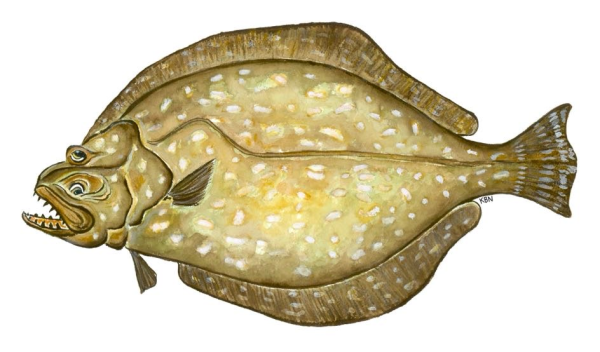 Floundered