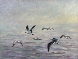 Seagulls in the Mist - Image 1