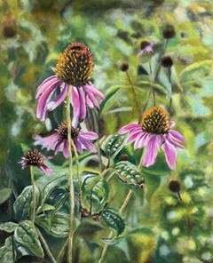 Vielsa Harding Paint