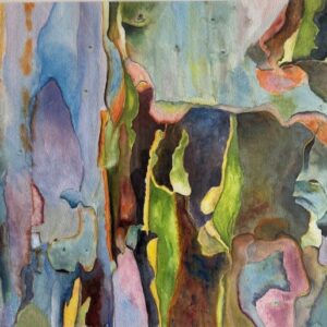 Rainbow Eucalyptus