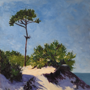 Lonely Pine