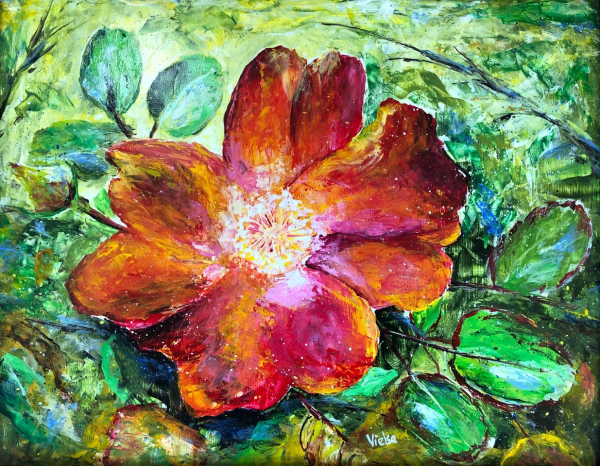 Wild Rose