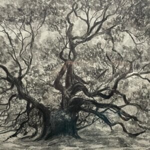Live Oak