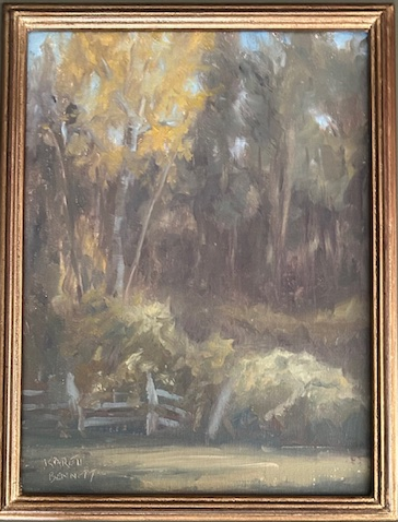 A Walk in The Woods