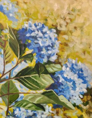 Sunlit Hydrangeas