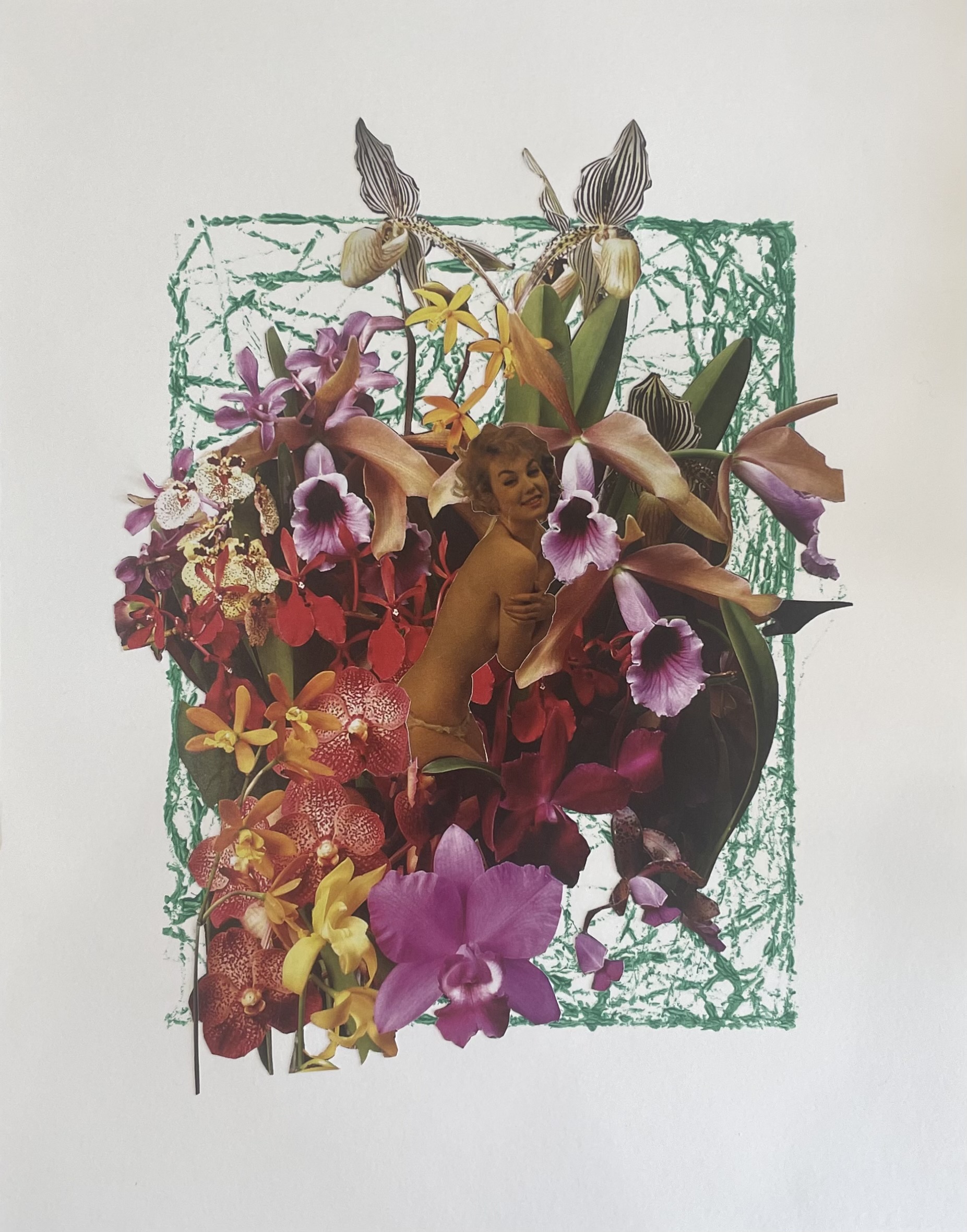 The Audacity of Orchids - Image 1