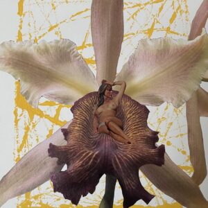 The Patriarchy's Favorite Flower