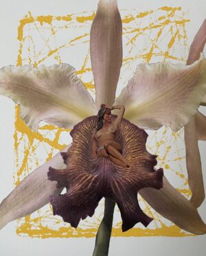 The Patriarchy's Favorite Flower