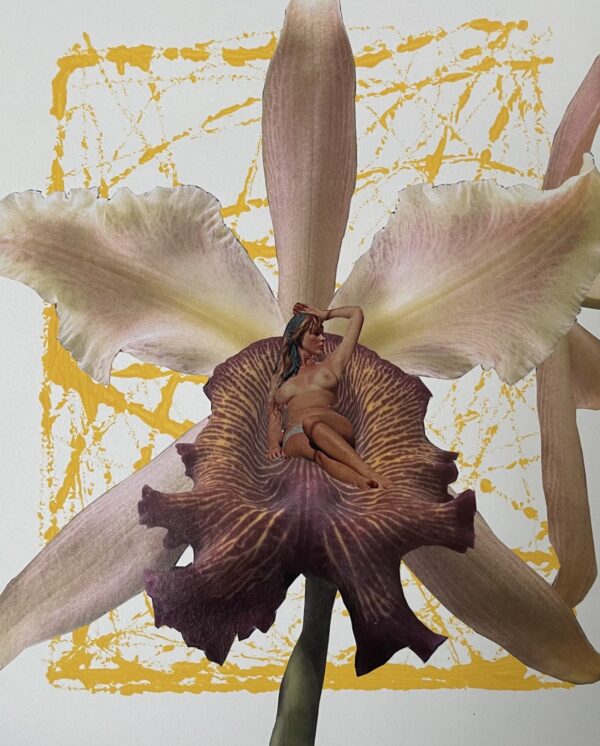 The Patriarchy's Favorite Flower